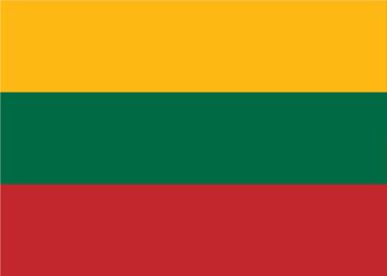 2008 انتخابات المقصود في ليتوانيا